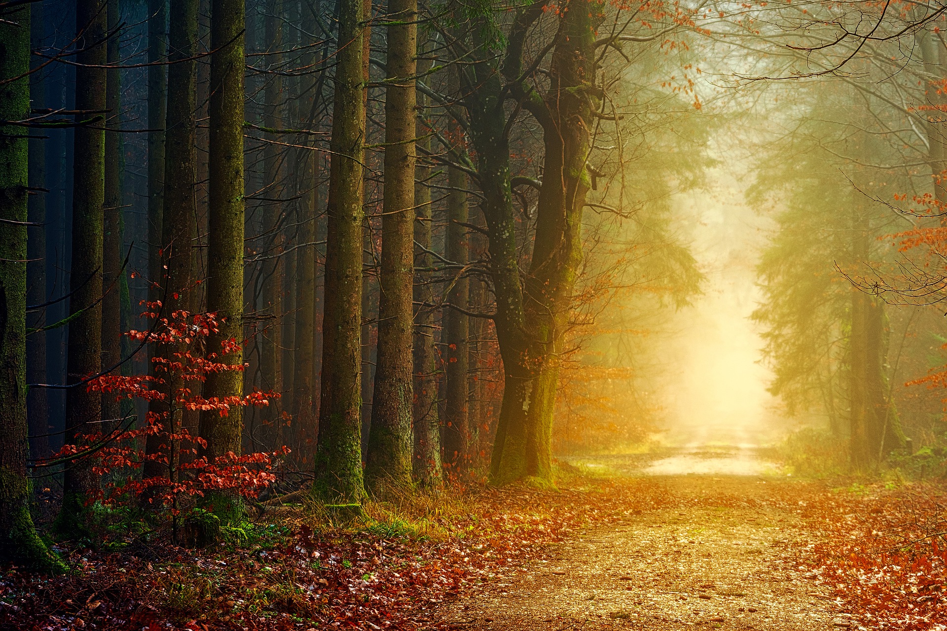 wald.606a1d69742f9